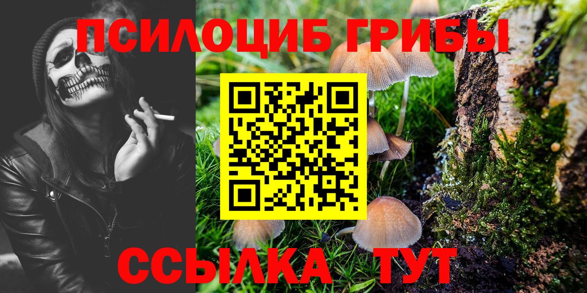 купить закладку  Галлюциногенные грибы GOLDEN TEACHER  Вход с VPN  Галлюциногенные грибы MAGIC MUSHROOMS  Гусев 